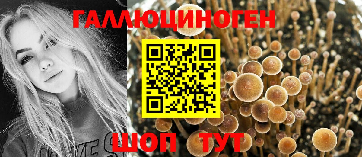 Псилоцибиновые грибы прущие грибы Углич